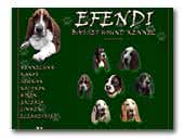 Efendi Basset Hound Kennel<