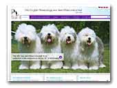 Elbe-Urstromtal Old English Sheepdogs