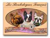 Du Jardin des Gourmandises
