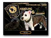 Elio Sunrise Kennel Staffordshire Bull Terrier