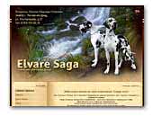 Elvare Saga