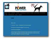 In Power - Boston and English Toy Terrier