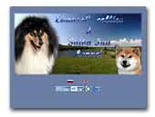 Evanssi's Collies & Shiba Inu