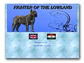 Fighter of the Lowland Dogo Canario