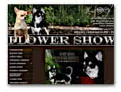 'Flower Show' chihuahua kennel
