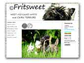 Fritsweet - Westie and Cairn terriers