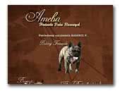 Breeder Ameba