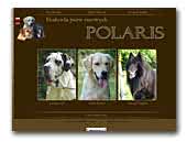 Kennel Polaris - belgian sheepdogs & great danes 