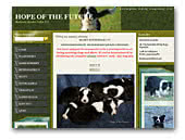 Hope Of The Future - Hodowla Border Collie