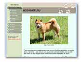 Hoshinofuru - Breeding Shiba Inu