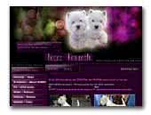 Ice Touch - West Highland Whitte Terriers