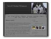 Icewolf Alaskan Malamutes