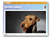 Ideal AireDale Terrier kennel
