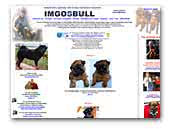 Imgosbull Kennel