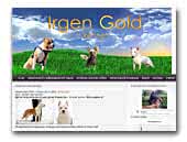 Irgen Gold kennel