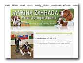 Jankina Zahrada Welsh springer spaniel