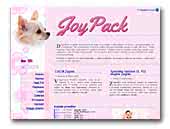 Joy Pack Chihuahuas