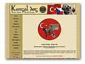 FCI kennel 'Kazana' - Turkish Kangal Dog