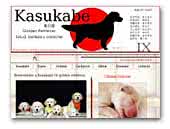 Kasukabe golden retriever