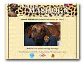 Kennel-Mashoga