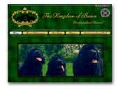 The Kingdom of bears Newfoundland Kennel