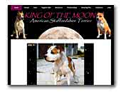 King of the Moon Amstaff Kennel