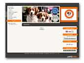 Dog From Wonderland Kooikerhondje kennel