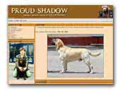 Proud Shadow labrador retriever kennel