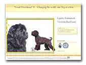 Sweet Riverdance Lagotto Romagnolo and Newfoundland dogs