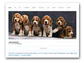 Lapitropy kennel of beagles