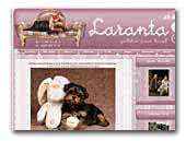 Laranta kennel - Yorkshire terriers