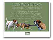 Lonsdale Bulldogs - Leavitt Olde English Bulldogges UK