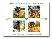 Ager Trifolium Leonberger Kennel