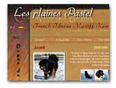 'Des plaines Pastel' Tibetan mastiff