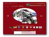 of Little Oaks Lhasa Apso