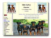 Lilla Enebys German Pinscher 