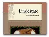 Lindestate - Welsh Springer Spaniels