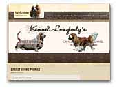 Longbody's Basset Hound