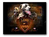 Lord of Area kennel