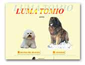 Luma Tomio kennel