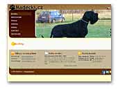 Madecki Kennel Giant Schnauzer