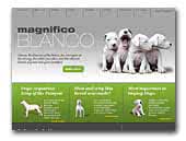 Magnifico Blanco Dogo Argentino