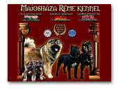 Majosháza Réme Kennel - Caucasian Shepherd Dog and Cane Corso