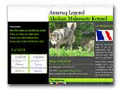 Amaruq Legend Alaskan Malamute Breeder