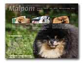 Malpom pomeranian kennel - Питомник мальтезе Мальпом