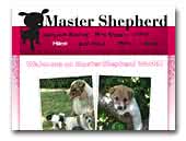 Master Shepherd Australian Shepherd & Jack Russell Terrier