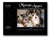 Midnight-Angel's - Biewer Yorkshire a lá Pom-Pon