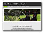 Mildstream Miniature pinscher