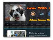 Mioris Land Kennel - Romanian Mioritic Shepherd