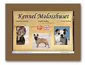 Kennel Molosshuset